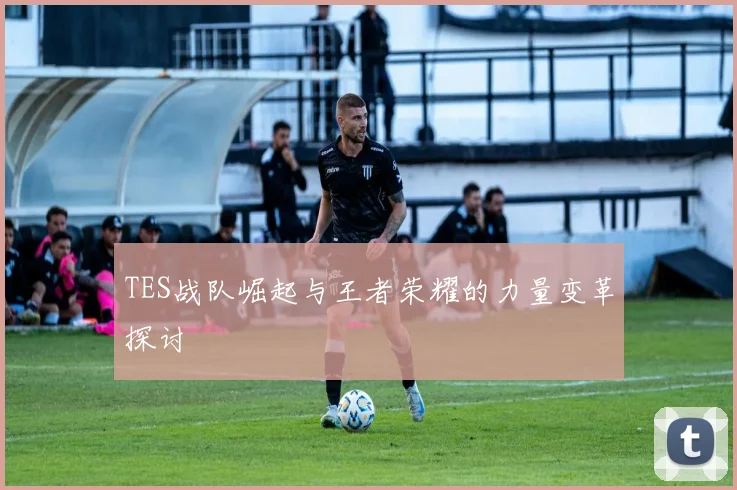 TES战队崛起与王者荣耀的力量变革探讨
