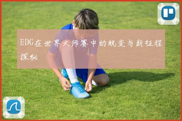 EDG在世界大师赛中的蜕变与新征程探秘