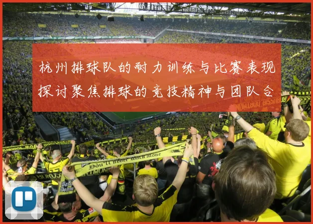 杭州排球队的耐力训练与比赛表现探讨聚焦排球的竞技精神与团队合作