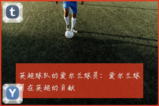 英超球队的爱尔兰球员：爱尔兰球员在英超的贡献